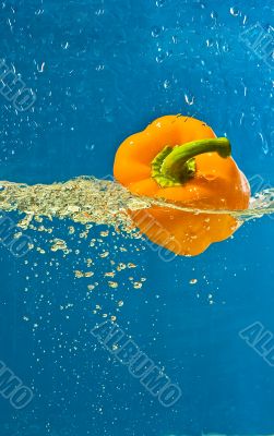 YELLOW PEPPER SPLASHING IN WATER 