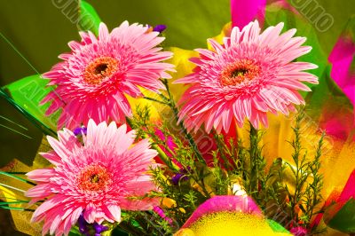 Beautiful flowers