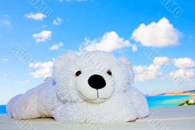 White teddy bear in the sky