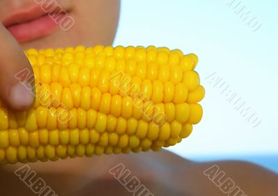 Corn on cob