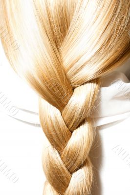blonde hair plaits