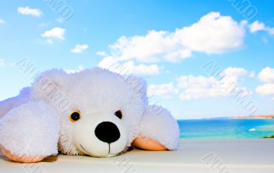 White teddy bear in the sky