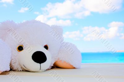 White teddy bear in the sky