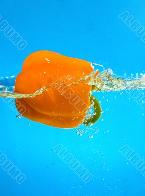 YELLOW PEPPER SPLASHING IN WATER 
