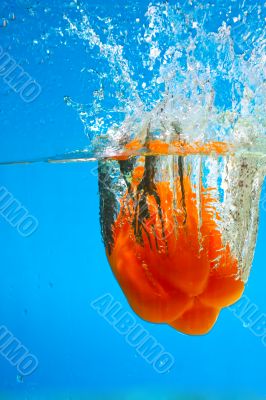 YELLOW PEPPER SPLASHING IN WATER 
