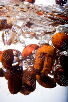 Coffee beans in water