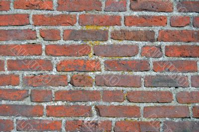 brick wall