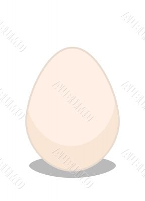 Egg ilustraion