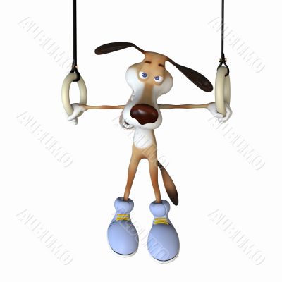 the gymnast on rings