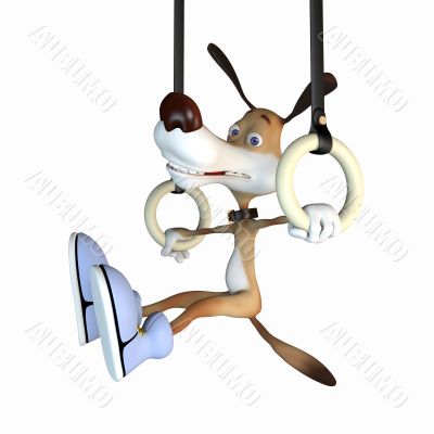 the gymnast on rings