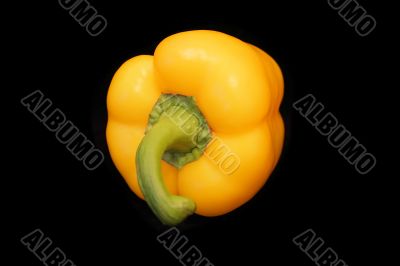 Raw peppers on black background