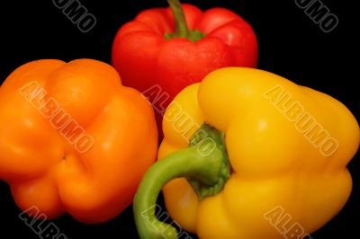Raw peppers on black background
