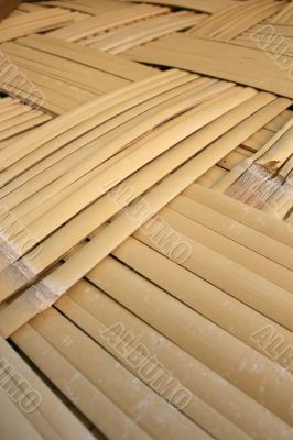 Bamboo