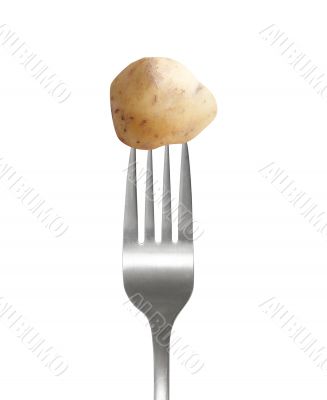 Potato on fork