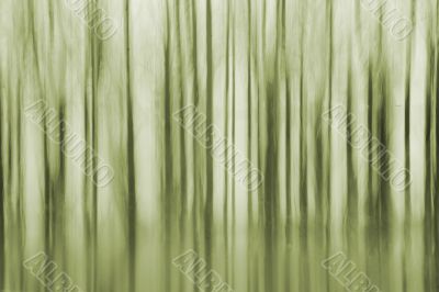 Trees abstract