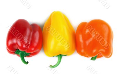 three Bulgarian pepper