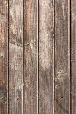 the brown wood texture with natural patterns