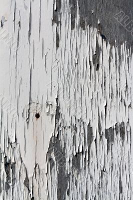 &ETH;&ETH;&frac34;&ETH;&sup2;&ETH;&cedil;&ETH;&frac12;&ETH;&ordm;&ETH;&deg;! &ETH;&ETH;&deg;&ETH;&para;&ETH;&frac14;&ETH;&cedil;&Ntilde;&sbquo;&ETH;&micro; &ETH;&frac12;&ETH;&deg; &Ntilde;&ETH;&raquo;&ETH;&frac34;&ETH;&sup2;&ETH;&deg; &ETH;&sup2;&ETH;&sup2;&ETH;&micro;&Ntilde;&euro;&Ntilde;&hellip;&Ntilde;&fnof;, &Ntilde;&Dagger;