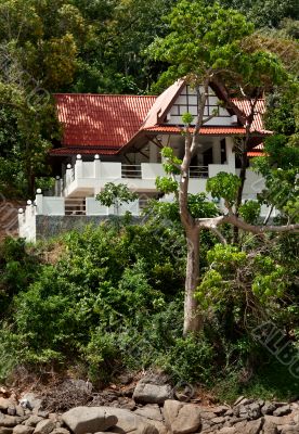 a lone house in the tropical jungles