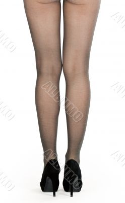 shapely female legs in pantyhose and shoes