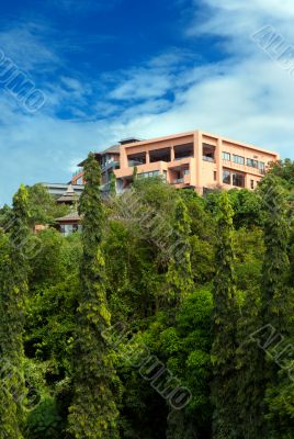 house in the rainforest