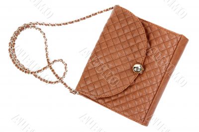 The brown woman`s handbag