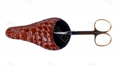 Nail scissors in leather pouch