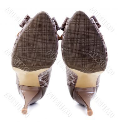 A pair of female leopard shoes