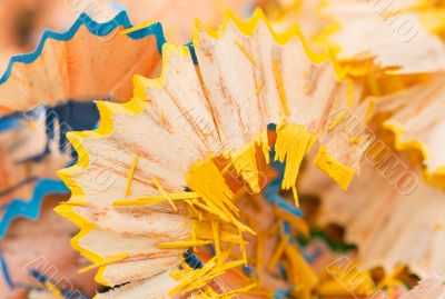 yellow and blue pencil shaving