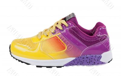 Sport shoe on white background