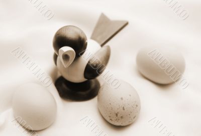 Bird Eggs
