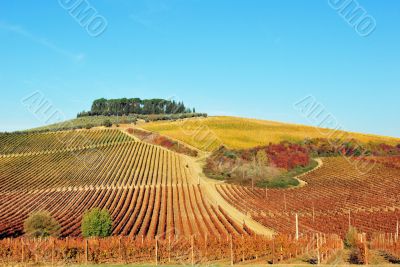 Tuscan landscape