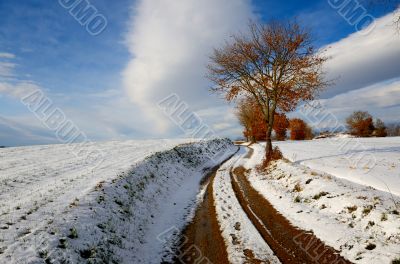 Snowy Landscape