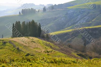 Tuscan landscape