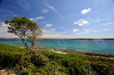 Brijuni National Park 