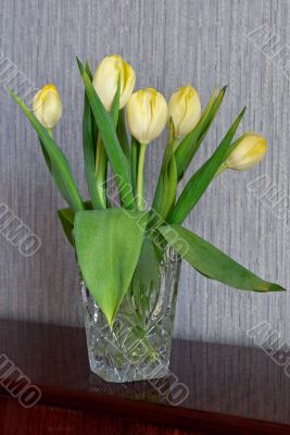 Yellow tulips.