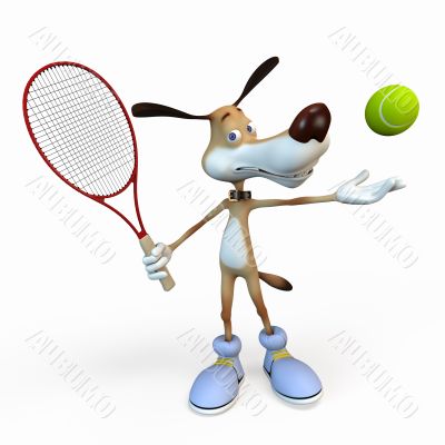 Dog tennis player.