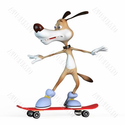 Dog on a skateboard.