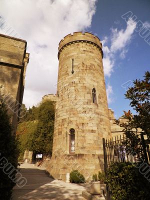 lookout Tower