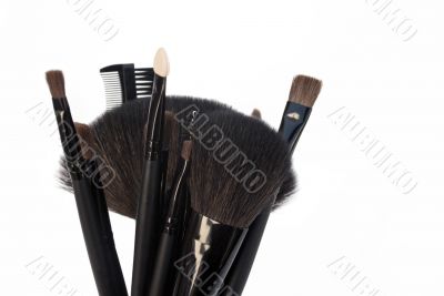 Make Up Brushes