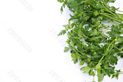 Parsley