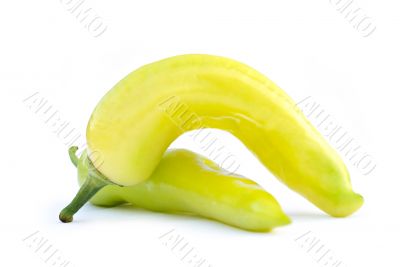 Xcatic Pepper