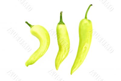 Xcatic Pepper
