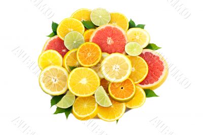 Citrus