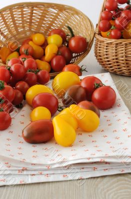 Scattered different varieties of tomatoes on a napkin