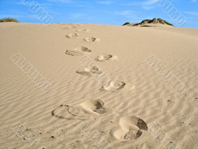 Desert Footprints