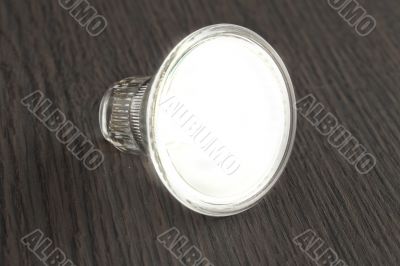 Bulb