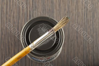 Paint
