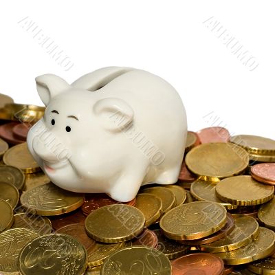 piggy bank