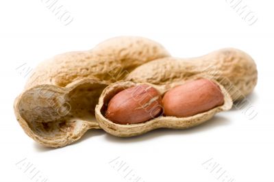peanuts isolated